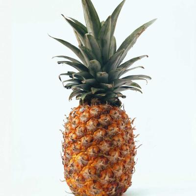 ABACAXI M (kg) ATÉ 1,2kg