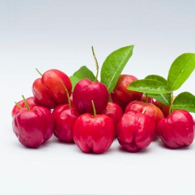 ACEROLA