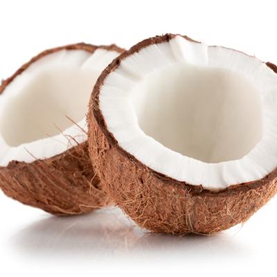 CÔCO SECO