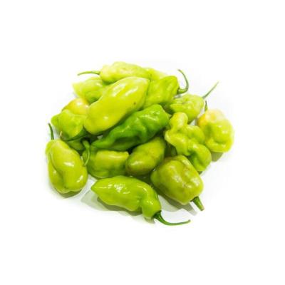 PIMENTA CHEIRO