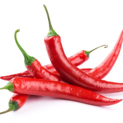 PIMENTA MALAGUETA