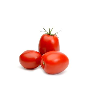 TOMATE MOLHO 1 ª